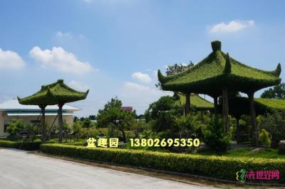 榕树亭